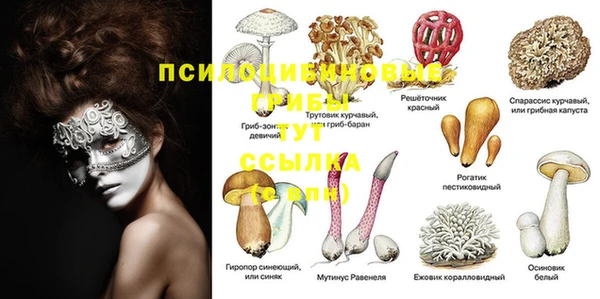 таблы Сатка