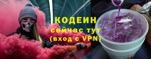 хмурый Алексин
